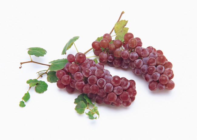 Обои картинки фото еда, виноград
