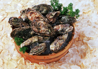 Картинка еда рыба +морепродукты +суши +роллы лед мидии ракушки