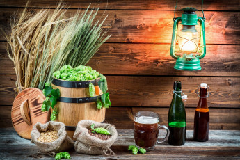 Картинка еда напитки +пиво колоски керосиновая лампа хмель пиво бочонок бутылки