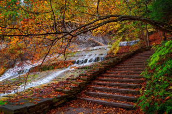 Картинка природа парк trees forest water steps park листья walk colors fall autumn шаги горы лес leaves colorful деревья осень nature вода дорога