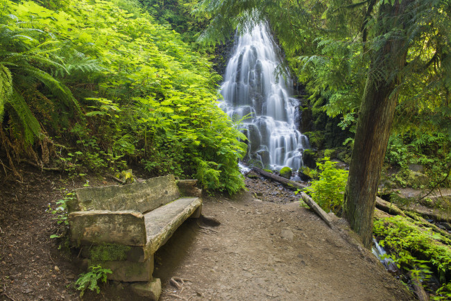 Обои картинки фото природа, водопады, скамья, заросли, водопад