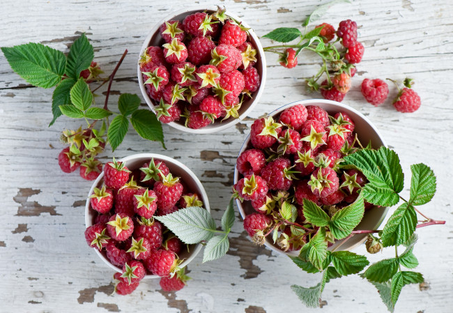 Обои картинки фото еда, малина, ягоды, листочки