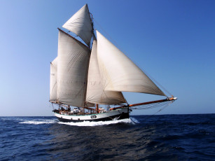 Картинка корабли парусники паруса яхта небо море