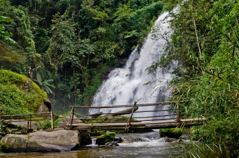 Картинка природа водопады водопад лес река