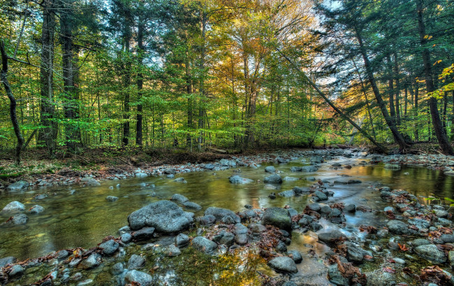 Обои картинки фото природа, реки, озера, осень, река, лес