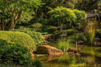 Картинка природа реки озера река лес