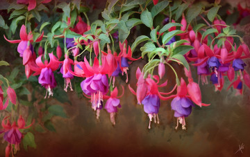 Картинка рисованное цветы фуксия ветки текстура