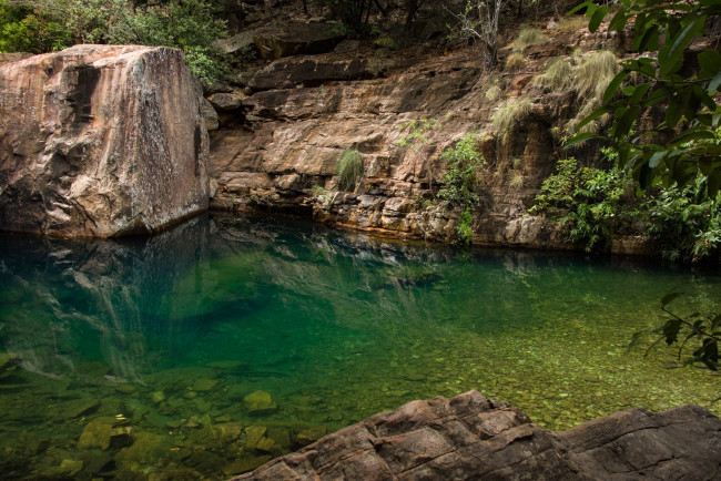 Обои картинки фото природа, реки, озера, река, лес