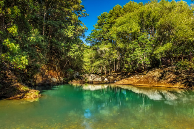 Обои картинки фото природа, реки, озера, река, лес