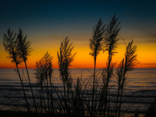 Картинка природа восходы закаты простор