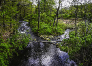 Картинка природа реки озера простор