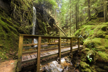 Картинка природа дороги простор