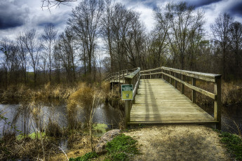 Картинка природа дороги простор