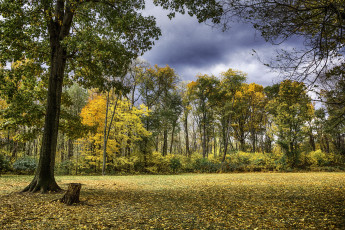 Картинка природа пейзажи простор