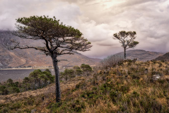 Картинка природа пейзажи простор