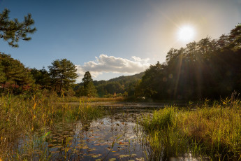 Картинка природа реки озера простор