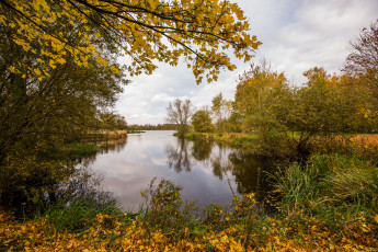 Картинка природа реки озера простор