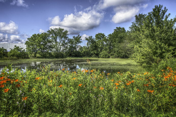 Картинка природа реки озера простор