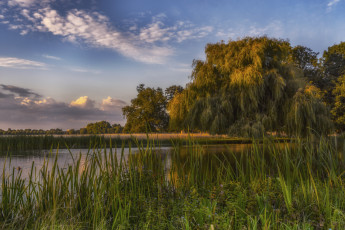 Картинка природа реки озера простор