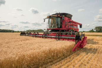 Картинка техника комбайны case