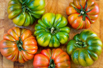 Картинка еда помидоры снедь томаты томат