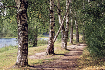 Картинка природа дороги простор