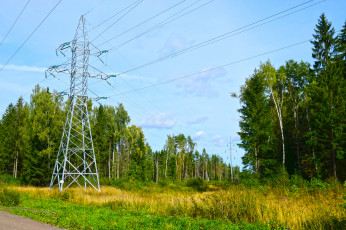 Картинка природа лес простор