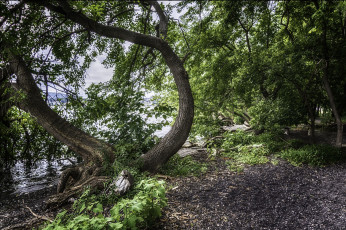 Картинка природа реки озера простор