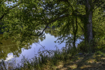 Картинка природа реки озера простор