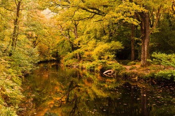 Картинка природа реки озера простор