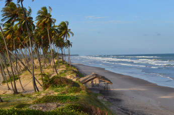 Картинка природа тропики простор