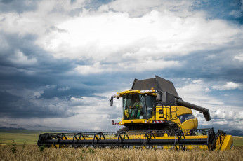 Картинка техника комбайны new holland