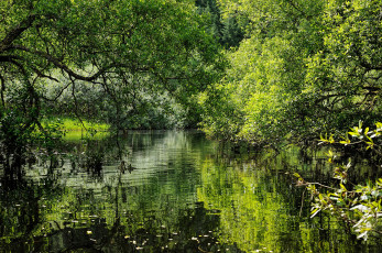 Картинка природа реки озера простор