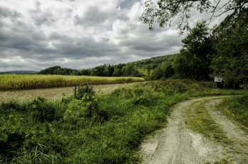 Картинка природа дороги простор