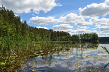 Картинка природа реки озера простор