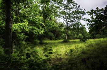 Картинка природа пейзажи простор