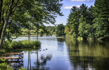 Картинка природа реки озера простор