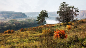 Картинка природа пейзажи простор