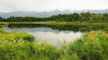 Картинка природа реки озера простор