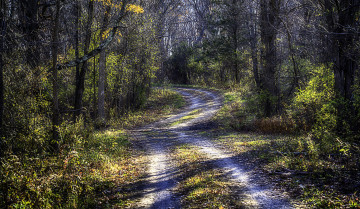 Картинка природа дороги простор