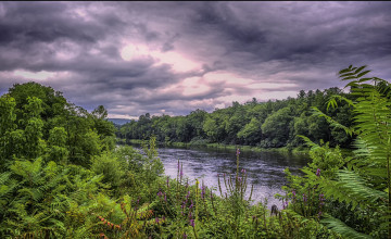 Картинка природа реки озера простор