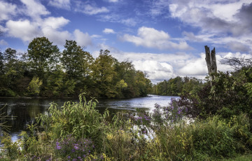 Картинка природа реки озера простор