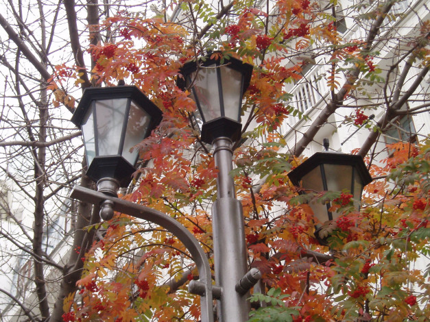 Обои картинки фото фонарь, города, - другое, город, светильник, город зимой, зимний город, городское освещение