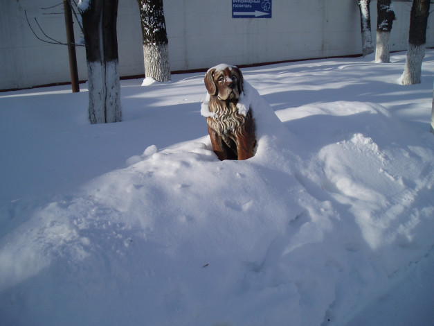 Обои картинки фото зимой, города, - другое, город, памятник, зима, арт-объекты, собаки, животные