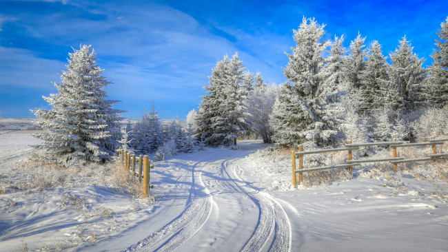 Обои картинки фото природа, зима, простор