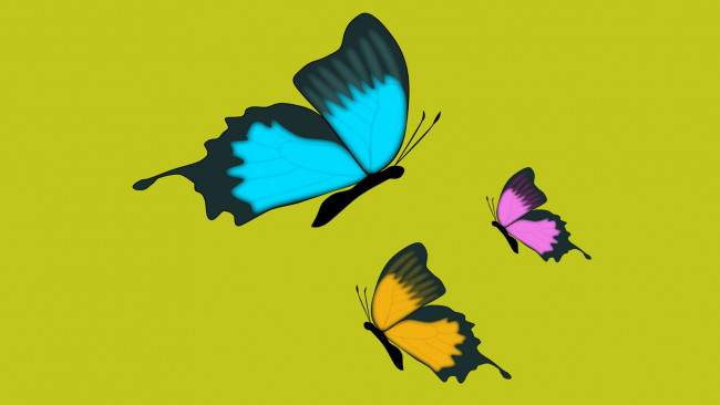 Обои картинки фото векторная графика, животные , animals, фон, бабочки