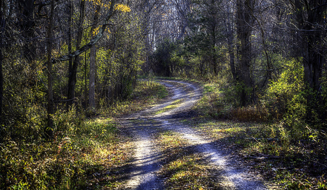 Обои картинки фото природа, дороги, простор