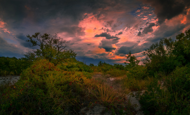 Обои картинки фото природа, пейзажи, простор