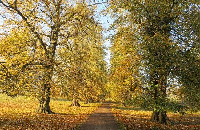 Обои картинки фото природа, дороги, простор