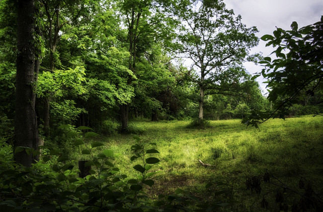 Обои картинки фото природа, пейзажи, простор